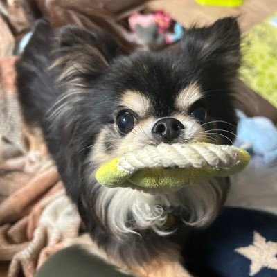 ko__pkc's profile picture. 