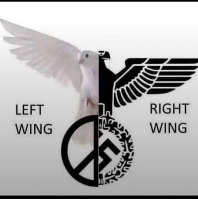 WokeInFlorida77's profile picture. Pro-Democracy, pro 🇺🇦, Anonymous, #BlueCrew, lifelong Democrat, 🖕MAGA, 🖕trump, I 🚫 all MAGA NAZIS