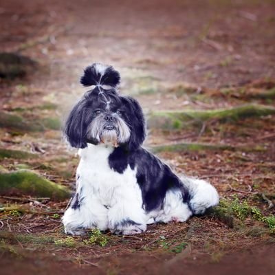 MariaJoseM94591's profile picture. Me han hackeado la cuenta y parto de 0, si alguno d mis amigos d X tiene a bien seguirme, se lo agradezco. Era @marajos57668811
 Soy socialista 100% Gracias