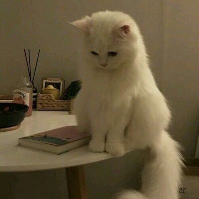 u2yyt's profile picture. wb valo