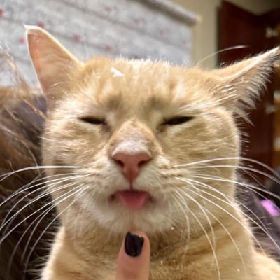 singularityjkk's profile picture. 22 | 🇹🇷