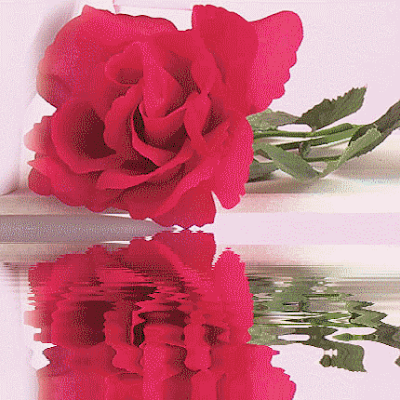 SaavedraNa94454's profile picture. 