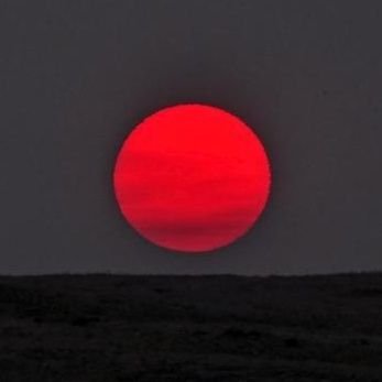 veladays's profile picture. 