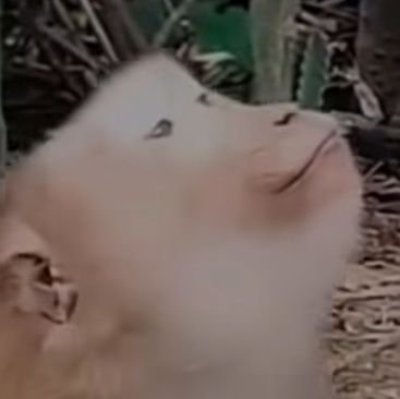 Yeahboisonyeah's profile picture. 