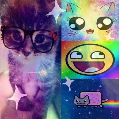 xylohome's profile picture. 18❤️