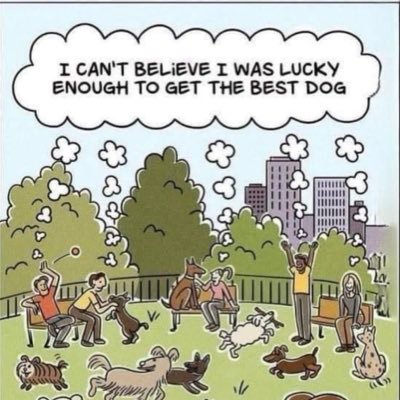 Biglablover3's profile picture. Lover of labs, 🥂, 🍷, ☕️, useful minutiae, interesting tidbits, & proper spelling. Hopeless romantic. Conserva-mostly libertarian.foster, rescue, adopt 🚫shop.