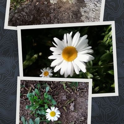 Cinara574882's profile picture. 