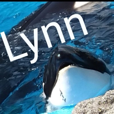 zuku_orca's profile picture. 水族館が好きな人。
名古屋港、トト年パス
基本シャチと水族館のことを呟きます。
陰キャ学生してます
無言フォロー失礼します