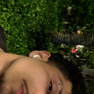 xisaeadoze's profile picture. meu querido diário