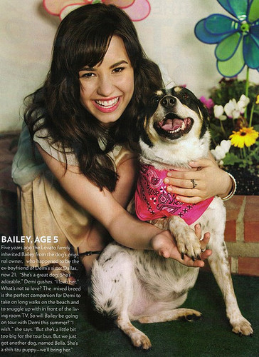 Official twitter for Dallas Lovato's dog Bailey. Love My family and I hope to make new friends everyday. :)