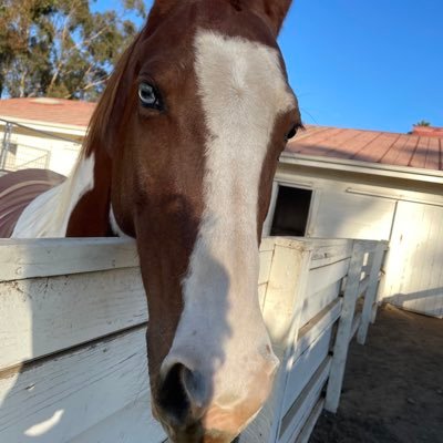 wbsummer's profile picture. former gemmer