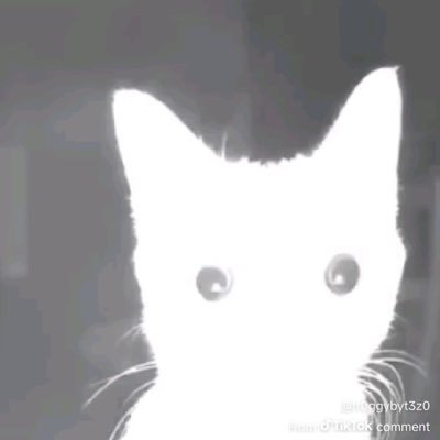 ikilled_tony's profile picture. I get more peace at slow speeds.