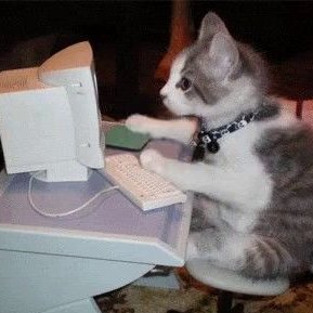 adita079's profile picture. code n coffeee n cryy