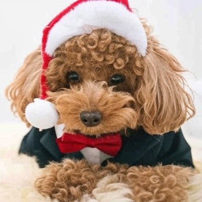 imadawgw00f's profile picture. a bitch