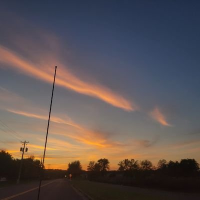 Audrey1273793's profile picture. 