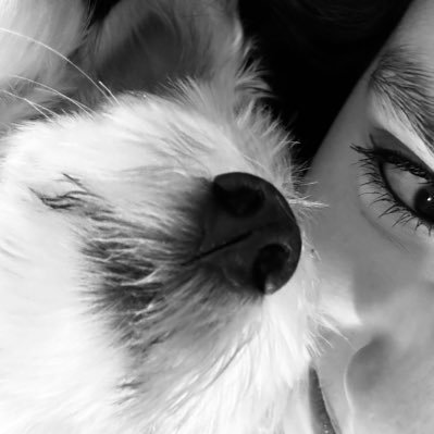 giutopzika's profile picture. @iKaoss11