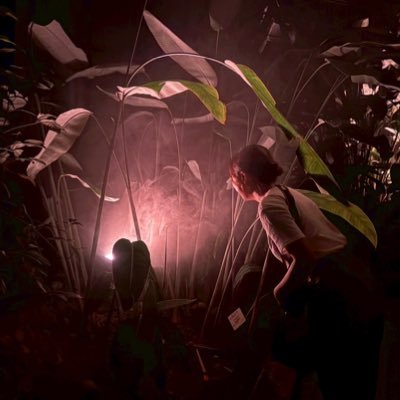 AerialPaw's profile picture. 京都工芸繊維大学大学院|デザイン学専攻| Participatory Design |銭湯♨️- 宇宙🛰️- 映画🎬- 大喜利✋