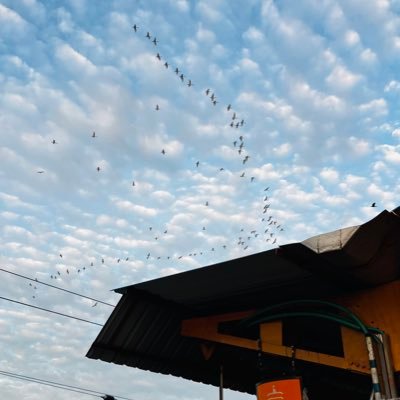 _sivaprasad06's profile picture. Graphic Designer 👨‍💻, Fan Boy of Indian Railways 🇮🇳 🚆 Chapter 27