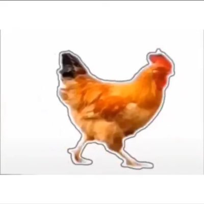 trackingmemes's profile picture. 