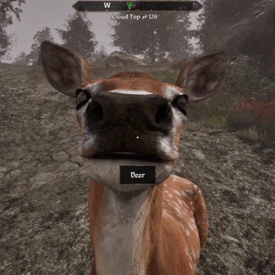 MurasakiBaebae's profile picture. Violet | She/Fae | Transsexual Anarcha-Feminist | Lesbian | Evil Baeddel | AuDHD | Mad Pride | Vegan | Free Palestine 🇵🇸 🇱🇧 🇸🇩 | Abolish🧊 | 日本語話せるぜ