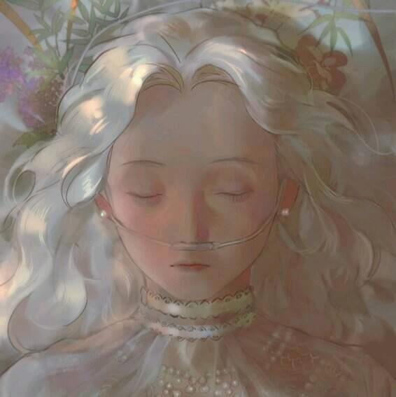 SaikhSoyab's profile picture. 