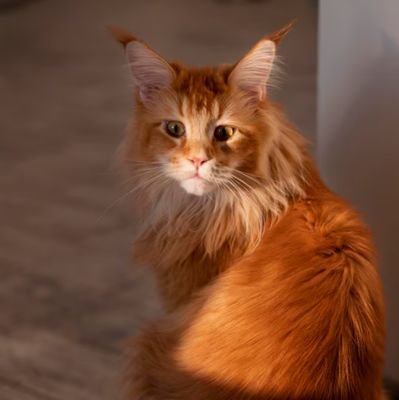 SimsCamila81774's profile picture. 