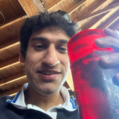 MardiaArnav's profile picture. ML Research @georgiatech @GTCSE 🐝