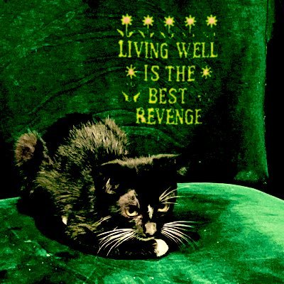 lookoutitsbbear's profile picture. if you came here to look for leverage in an argument, you just lost it