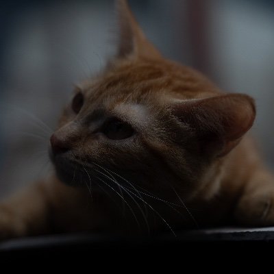 ms_aye_za's profile picture. 