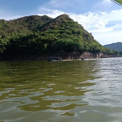 zulma_cifuentes's profile picture. 