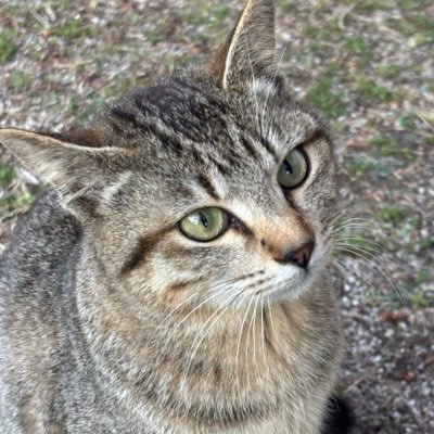 JiJi_fan_14's profile picture. 看護師🩺／Oita♨️ 医療・看護のことを中心に眺めたり、好きなもの、気になったことをメモ🫧