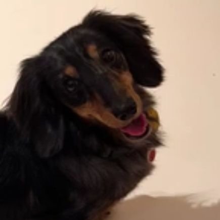 rep1384020's profile picture. 🌷🤍