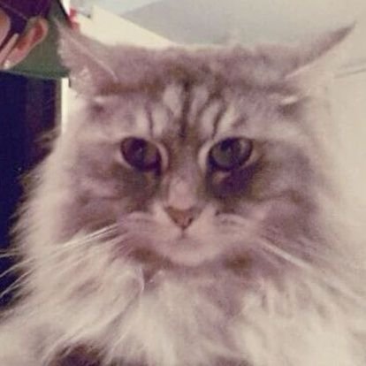 blissmin13_'s profile picture. forever, forever and ever ~~~