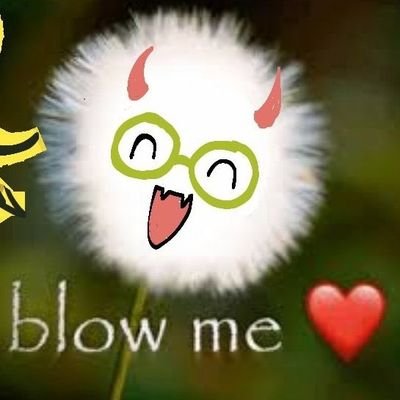 Brecciaballz's profile picture. 19,she/her 🏳️‍⚧️, fuckass bcup scumfuck boymoder 
ugly as fuck, will neeeevvvveeeeeeer do a face reveal.