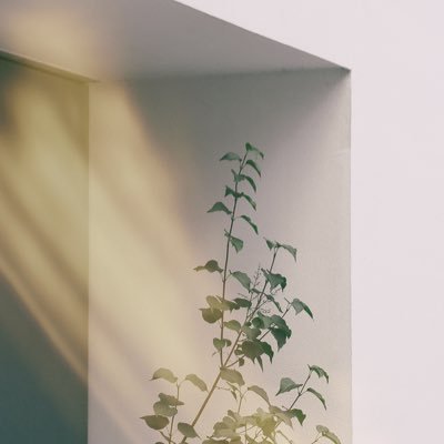 ewiunxvznrsa's profile picture. 진정한 투자는 내일을 예측하는 것이 아니라 미래를 계획하는 것입니다. #비트코인