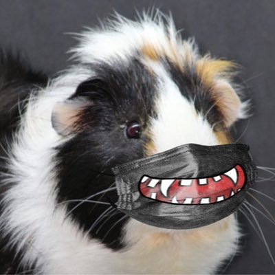 Guiness_Pig's profile picture. Comedian & writer who brings you #MaskholeClapbacks because #CovidIsNotOver #CovidIsntOver *Satire/humor/entertainment*