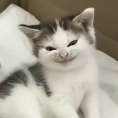 ToFa462388's profile picture. 