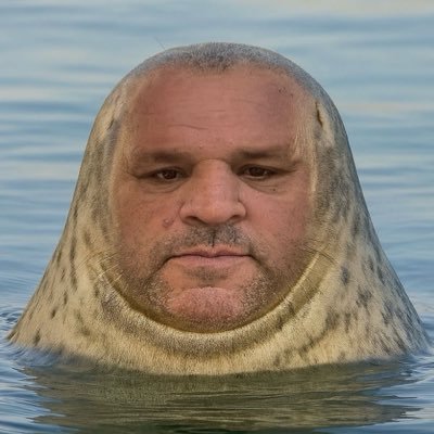 portexlabs's profile picture. 