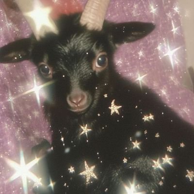 cam_attacher's profile picture. (She/they)
Sé leer el tarot y mi novio dice que soy graciosa