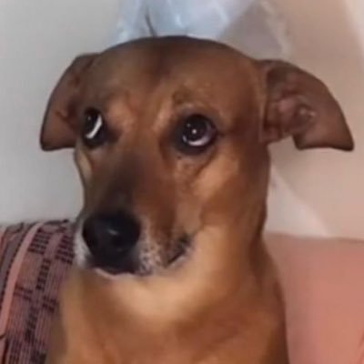 gnclxx's profile picture. 