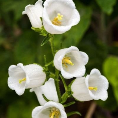 James7015845924's profile picture. 