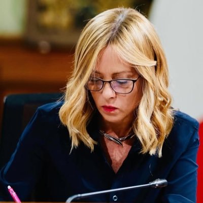 AuroraNico's profile picture. Siamo la sede in cui ripubblichiamo alcuni documenti cruciali per grandi aziende, Google, Amazon negli Stati Uniti, Regno Unito... +4915510327498