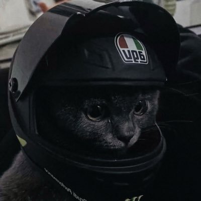 vibnicholas's profile picture. Llangefni, Wales. Hull, England. Seattle. Albuquerque. DC. Portland. Iowa City, USA. *MUFC*