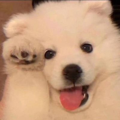 Meesom14044's profile picture. ♡ ~ 𝙼𝚊𝚡𝚖𝚊𝚡𝚡 | 𝙵𝚘𝚛𝚝𝚏𝚝𝚜 | All ลูกคุณสถาพร ♡ ~