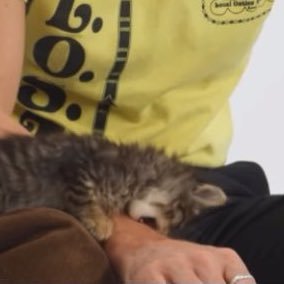 bbbaileeey's profile picture. djo of my dreams