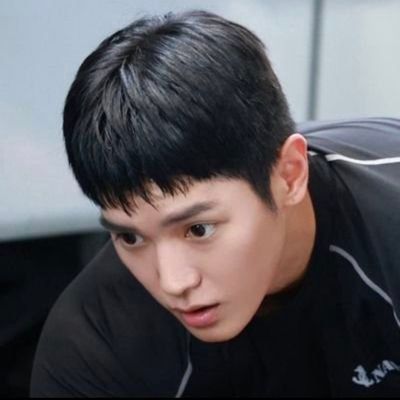 14December2025's profile picture. Taeyong solo Stan 🌹 first. 
Gdragon & DPRian enjoyer 🔞