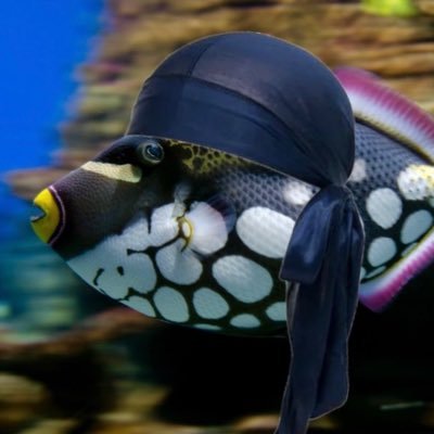 Felpipiiii's profile picture. in my thoughts i use the technique of positive visualization