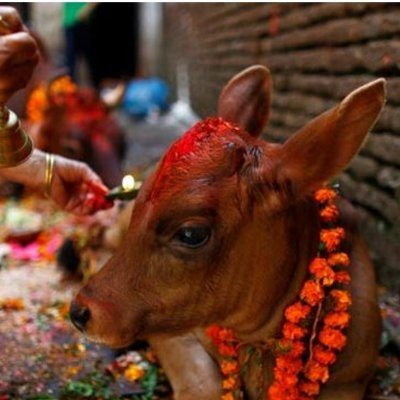 Nepali_Comrade's profile picture. 