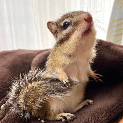 slimycog72's profile picture. Link in bio to watch videos