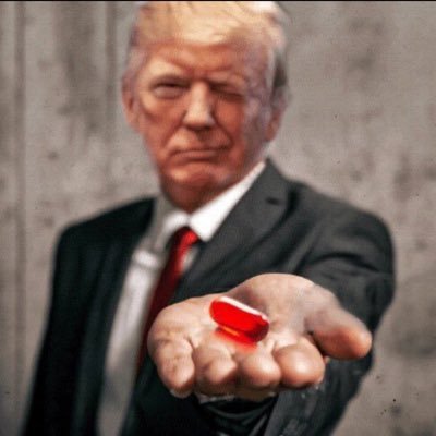 NeoTheRed's profile picture. My friends call me Neo. If you know me you know why. Helping to Red Pill rational people across the PNW. No DM’s.